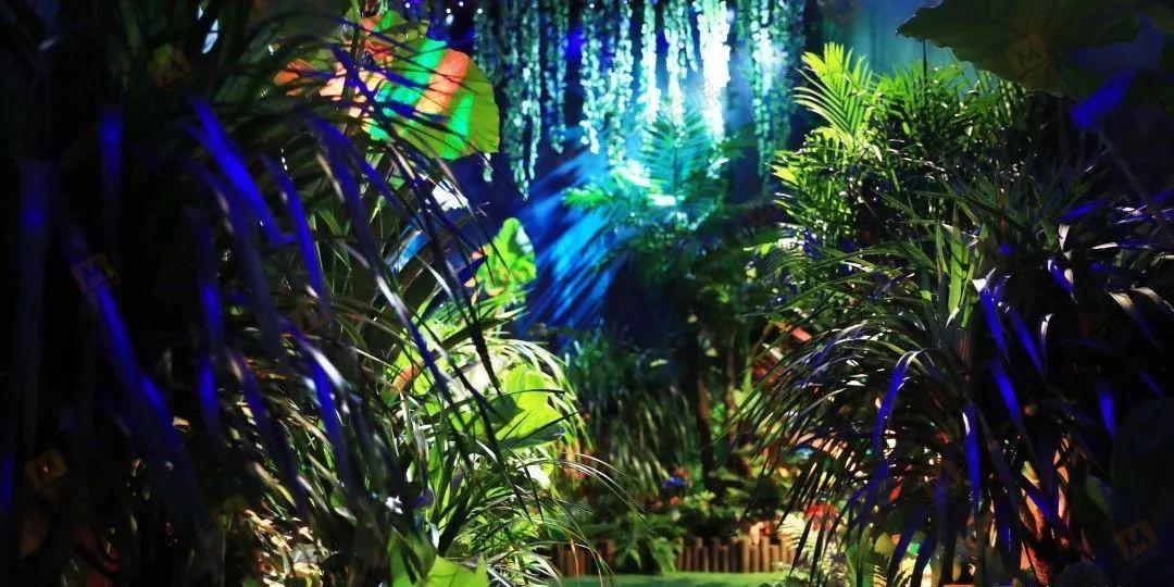 植物大战僵尸21